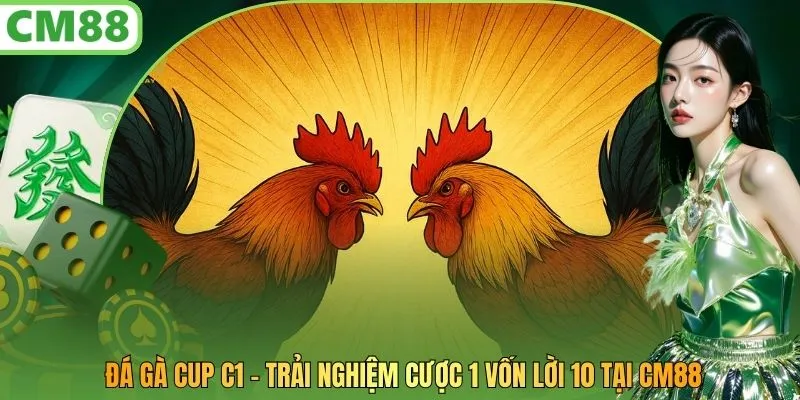 Đá Gà Cup C1 - Trải Nghiệm Cược 1 Vốn Lời 10 Tại CM88